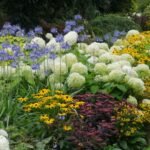 Best Perennial Plants for Creating a Low-Maintenance Garden