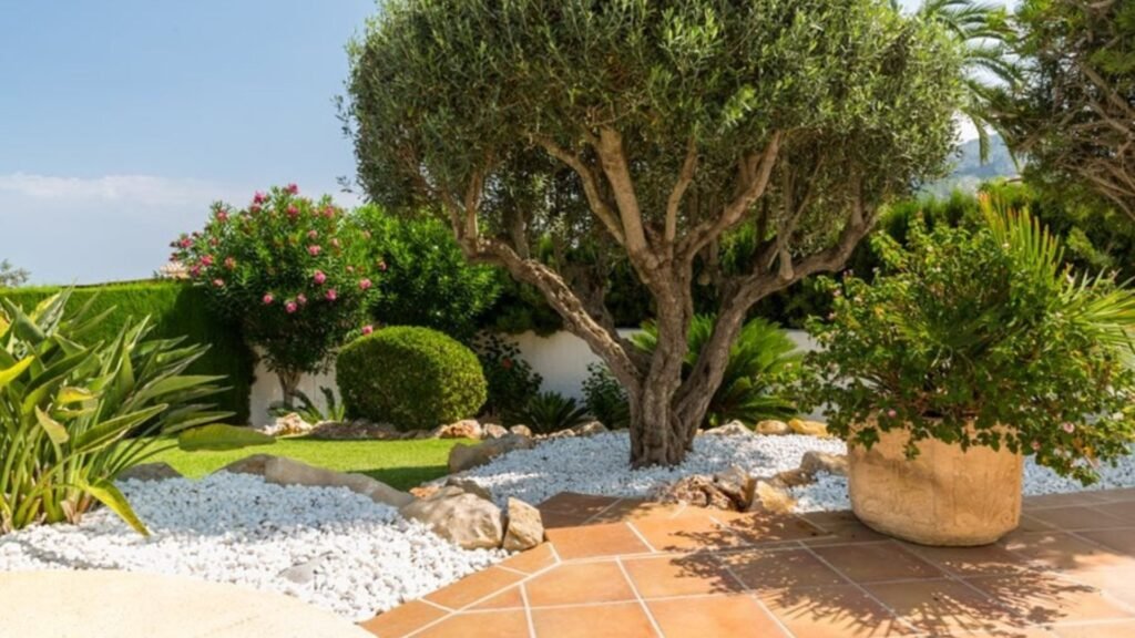 How to Create a Mediterranean Garden