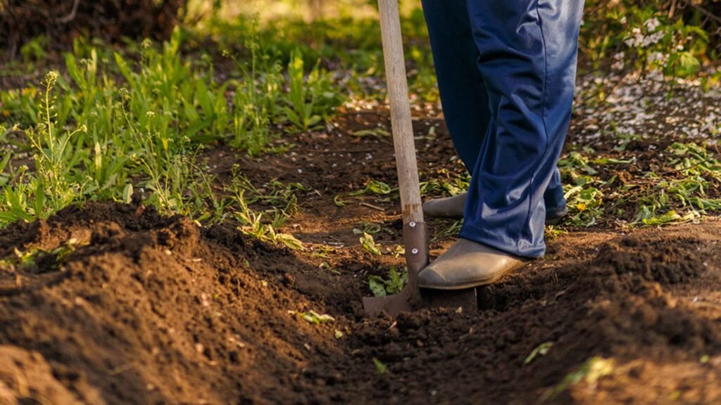 How to Create a Rain Garden