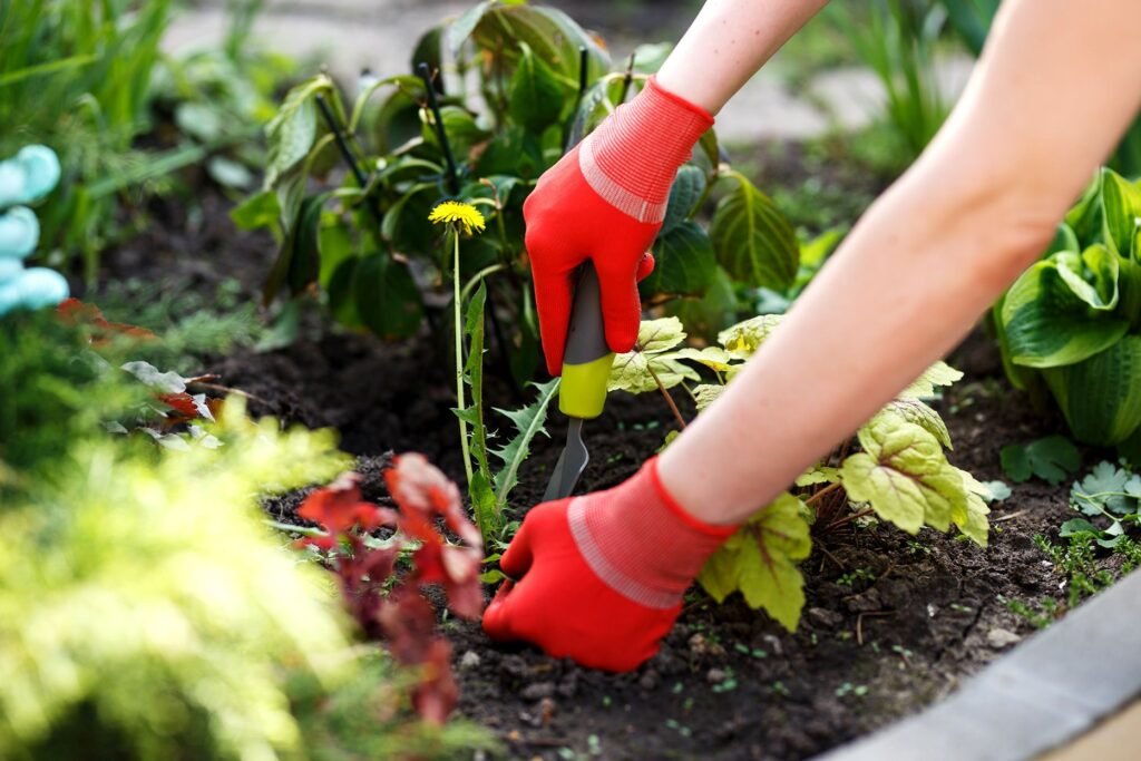 How to Create a Sustainable Garden with Flowers and Plants