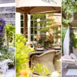 The Best Plants for Creating Privacy in Your Garden