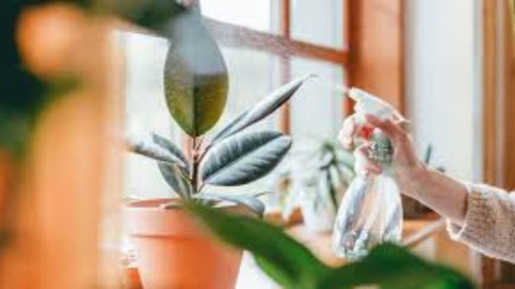 Tips to Keep Your Plants Healthy and Thriving