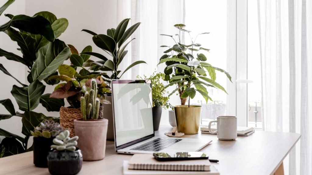 Top Plants for Your Home Office