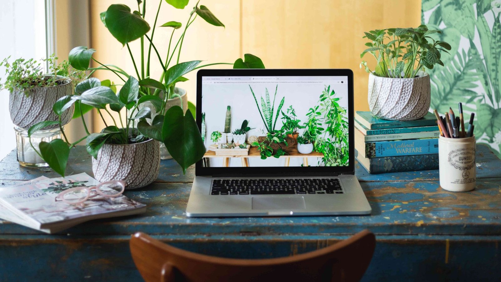 Top Plants for Your Home Office